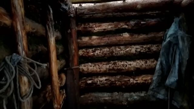 НАШЕЛ ЗЕМЛЯНКУ В ЛЕСУ. КАРТОШКА с МЯСОМ на УГЛЯХ ! смотреть онлайн