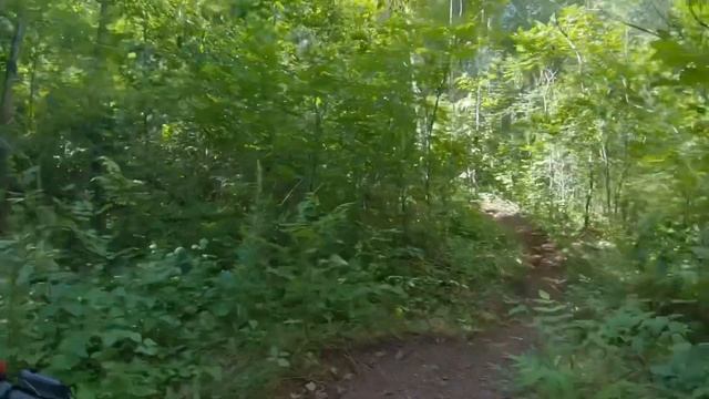 2022 Trek Marlin 8 Vs. 2021 Trek X-Caliber 8 смотреть онлайн