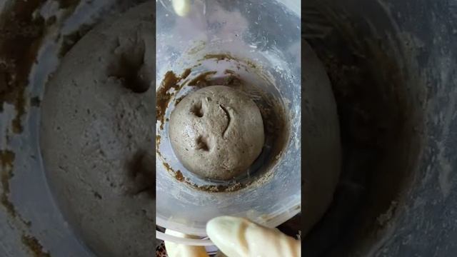 Ржаной подовый хлеб на закваске.mp4