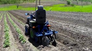 Минитрактор с култиватором и окучниками. Окучивание картофеля / Mini tractor hilling potatoes