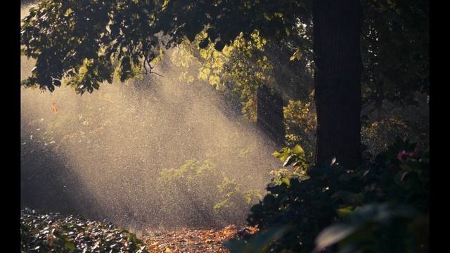 Звук дождя/ успокаивающая музыка для сна/ Sound of rain soothing music for sleep. смотреть онлайн