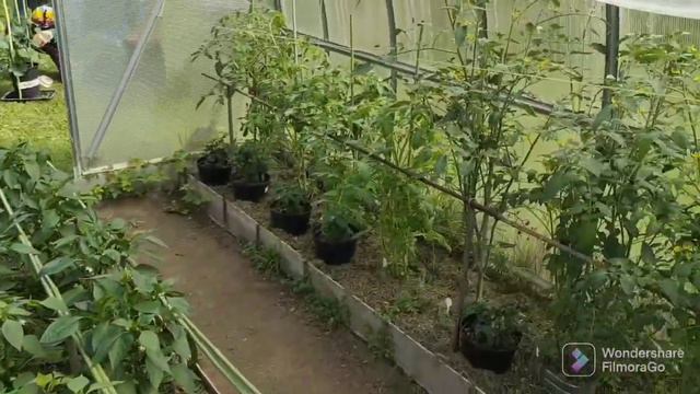 Град прошёл и что осталось.. смотреть онлайн