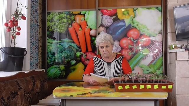 22 января - первый посев томатов. Ольга Чернова. смотреть онлайн
