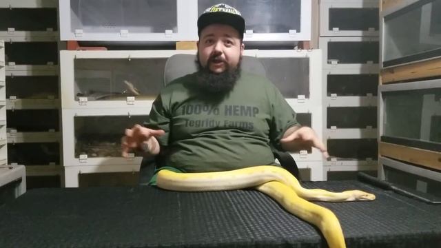 Breeding 101 смотреть онлайн