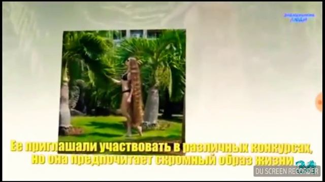Рапунцель в России смотреть онлайн