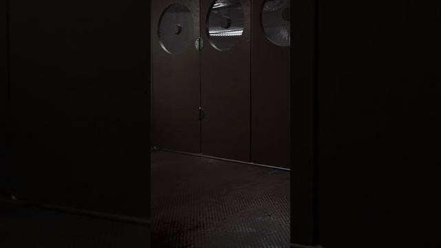 Назовите имя и персональный код доступа Atomic Heart