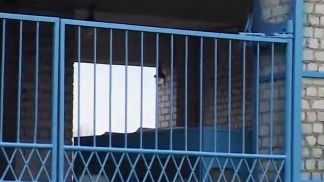 Новозыбковское ПАТП «заминировали» смотреть онлайн