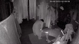 ВКУС РИСКА КВЕСТ