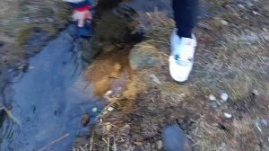 Краш тест телефона philips.