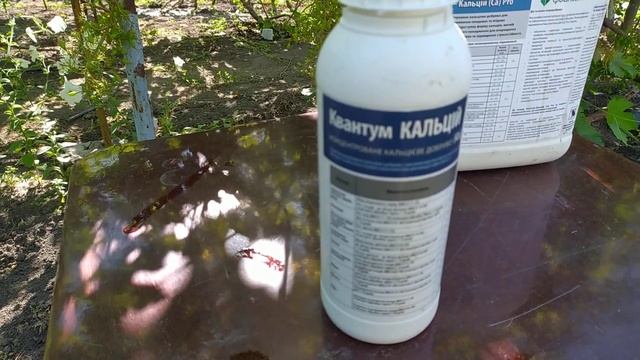 Обработка винограда кальцием по гроздям смотреть онлайн