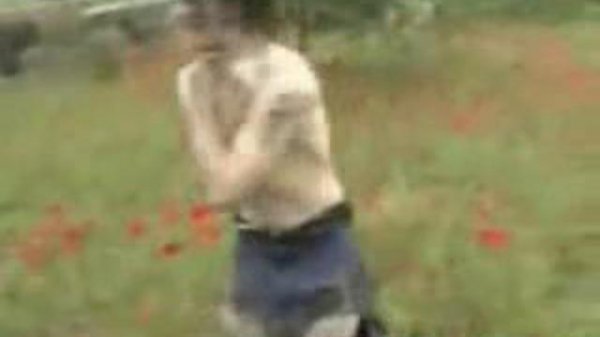 Подборка жести 3