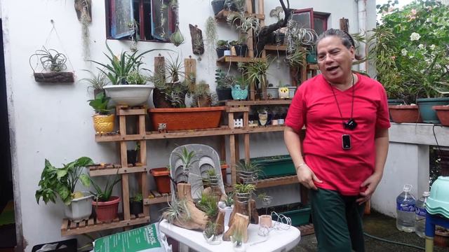 Bong Austero's Vlog #24: Caring for Air Plants (TILLANDSIA) смотреть онлайн