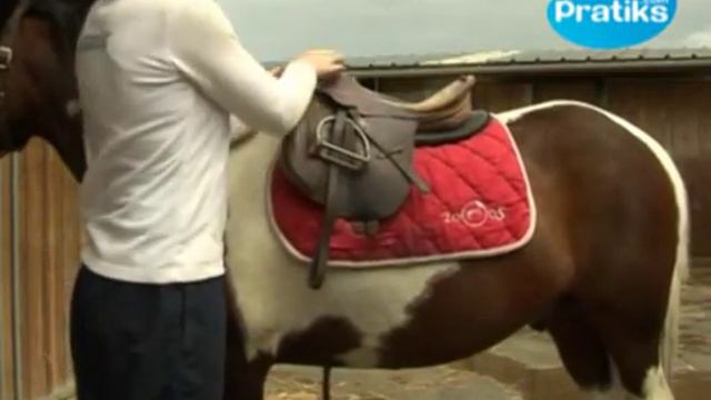Horse Riding - How to put on a saddle смотреть онлайн