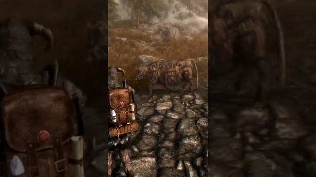 Случайная встреча в Скайрим! #mrcatgame #skyrim #tes #скайрим #tes5 #elderscrolls смотреть онлайн
