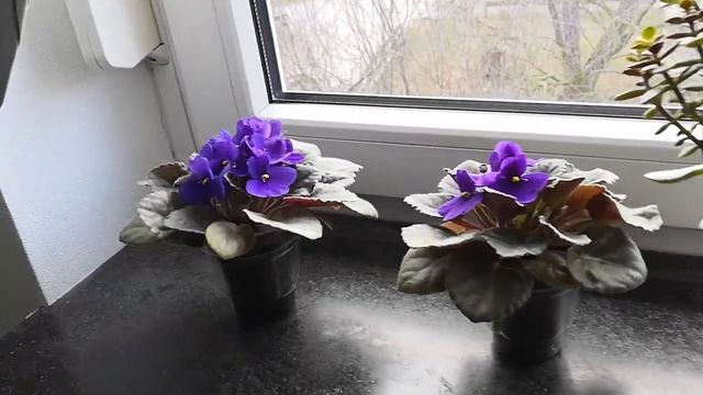 Ремонт Закончен ! смотреть онлайн