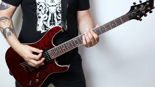 Misfits - Dig Up Her Bones (HD Guitar Cover) смотреть онлайн