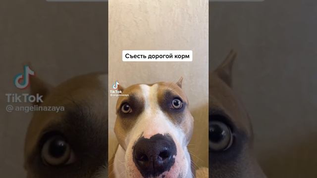 Я люблю хлеб👌 смотреть онлайн