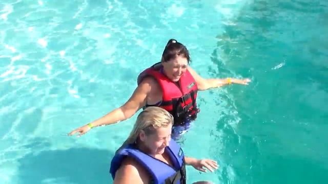 Дельфинарии в Алании октябрь 2019 смотреть онлайн