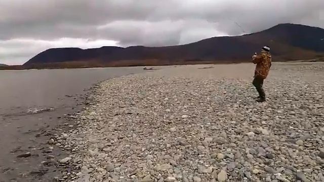 блесна на лосося Тасманский дьявол. блена на гольца смотреть онлайн
