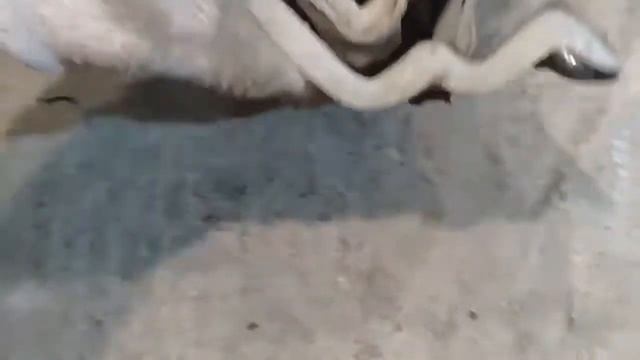 Замена и ремонт: Honda, Renault, Chevrolet