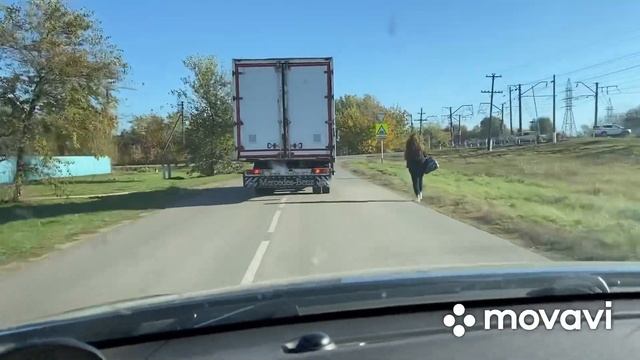 Результат тыквы Матильда смотреть онлайн