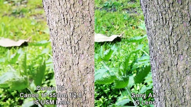 Canon D7 vs Sony FDR AX1 1080p смотреть онлайн