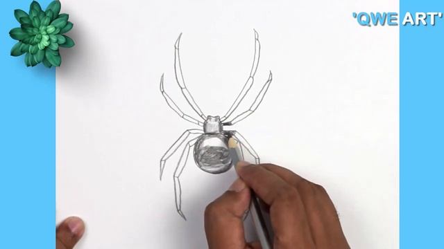 3D Realistic Spider Drawing .? How to draw a SPIDER смотреть онлайн