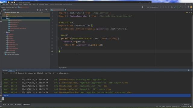 Nestjs Custom Decorator смотреть онлайн
