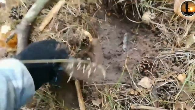 Металло поиск с новым MD TX 850 и его находки смотреть онлайн