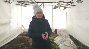Готовь теплицу зимой! Готовлю теплую теплицу к пасадке томатов