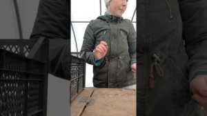 пропойки крольчат стопкокцидом