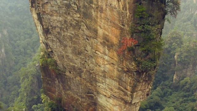 Zhangjiajie National Forest Park, China | Elektronomia - Limitless | Everywhere I Know смотреть онлайн