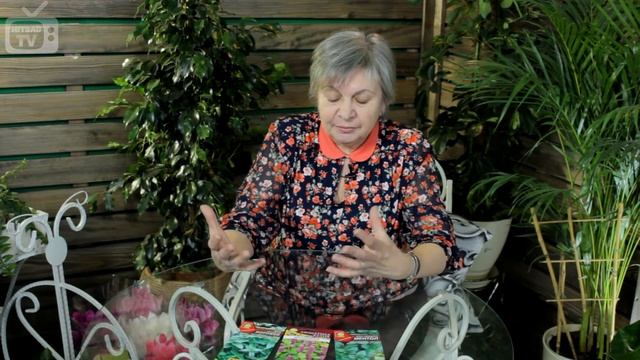 Кулинарные Испытания