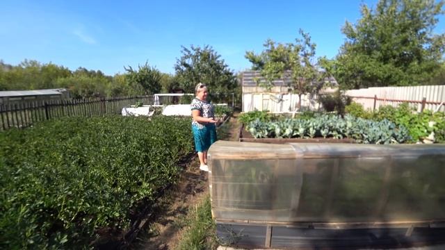 ЖАРИМ ШАШЛЫК/СЕМЕЙНЫЕ ПРОБЛЕМЫ смотреть онлайн