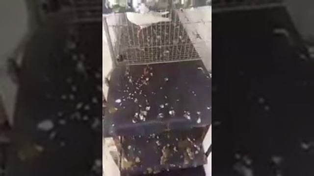 очищающий птичий помет смотреть онлайн