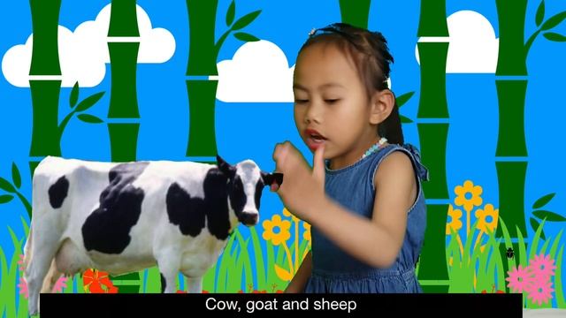 Episode 5: Carnivores,Herbivores and Omnivores смотреть онлайн