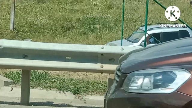 Поездка на море??/ это было долго⏳ смотреть онлайн