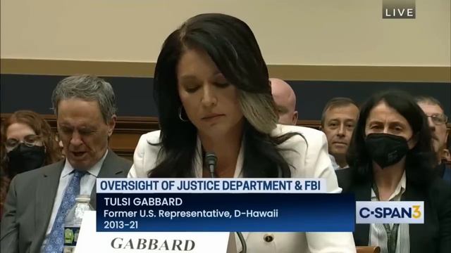 Tulsi Gabbard Testifies on the Weaponization of Federal Government смотреть онлайн