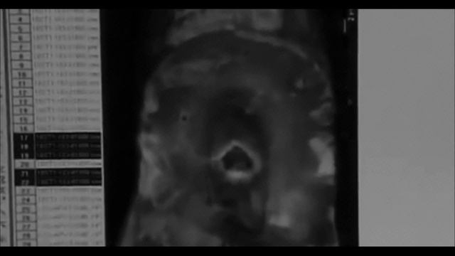 Кто скрыл существование людей - великанов / Кости гигантов смотреть онлайн