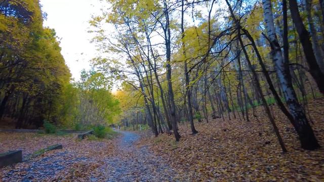 Санаторий Октябрьское ущелье в Саратове смотреть онлайн