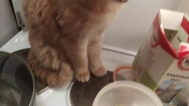 Как посолить красную рыбу!? Солим горбушу! Простой и быстрый способ!))) смотреть онлайн