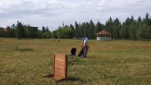Елисей Великолепный из Империи Стражей, IGP-1, раздел B смотреть онлайн