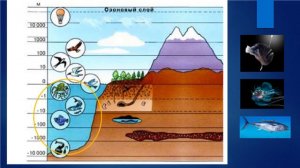 Границы биосферы