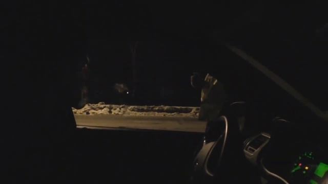 Досмотр автомобиля по Пензенски смотреть онлайн