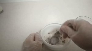 3 начинки для корпусных конфет на молочном шоколаде