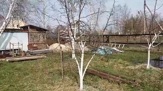 Салат с черемшой и орехами. Бутерброды с черемшой и орехами. Новая покупка. На даче... смотреть онлайн