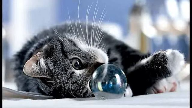 Переход cross effect смотреть онлайн