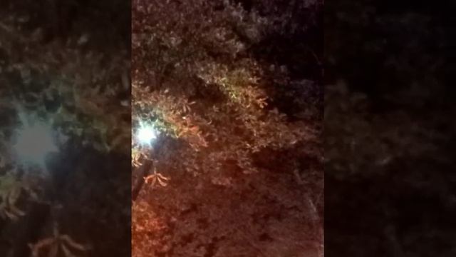 Чудеса судьбы. Стих смотреть онлайн