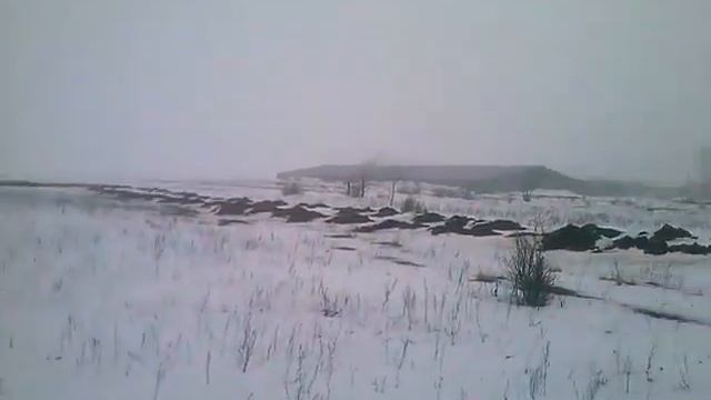 CAM00057 смотреть онлайн