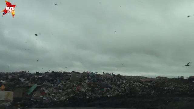 Полигон ТБО в Орле смотреть онлайн